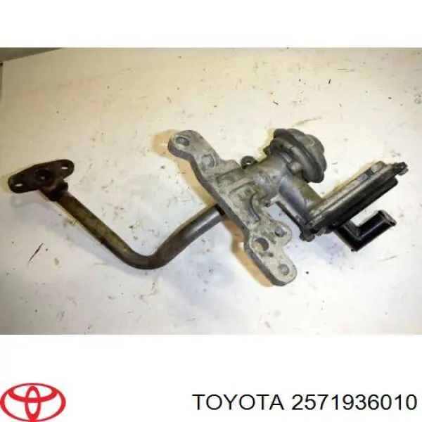 2571936010 Toyota 