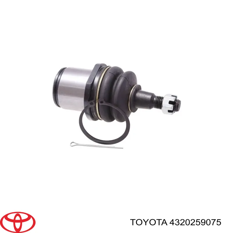 Цапфа поворотного кулака Toyota 4320259075 ціна, від 121.63 USD