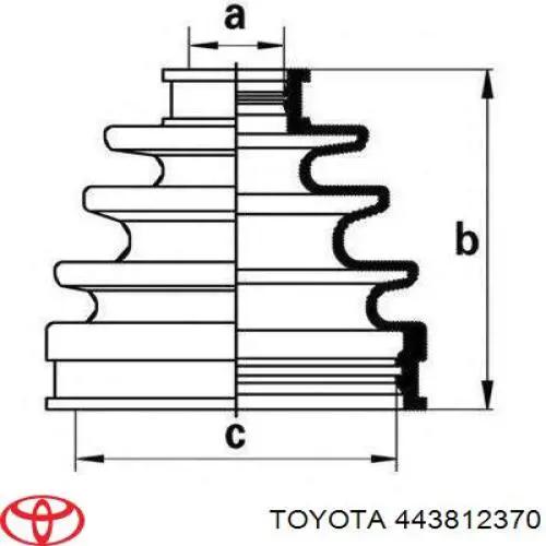  443812370 Toyota