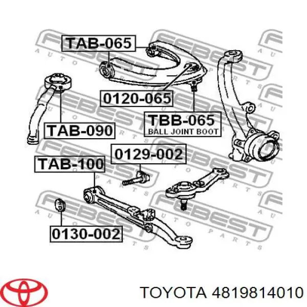 Гайка заднього нижнього важеля ексцентрична (розвалу) Toyota 4819814010 ціна, від 3.43 USD