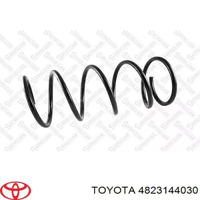 Задні пружини CS16370 NIPPON MOTORS