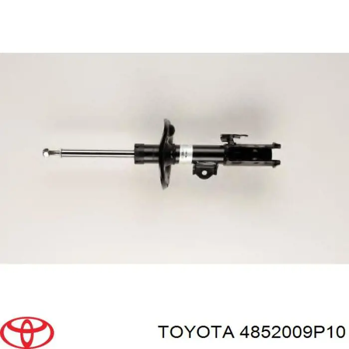 4852009P10 Toyota 