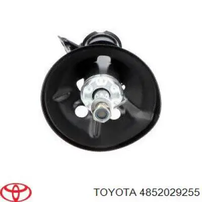 Амортизатора передній лівий 485202B010 Toyota