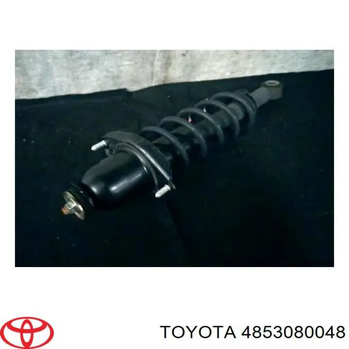  4853069245 Toyota
