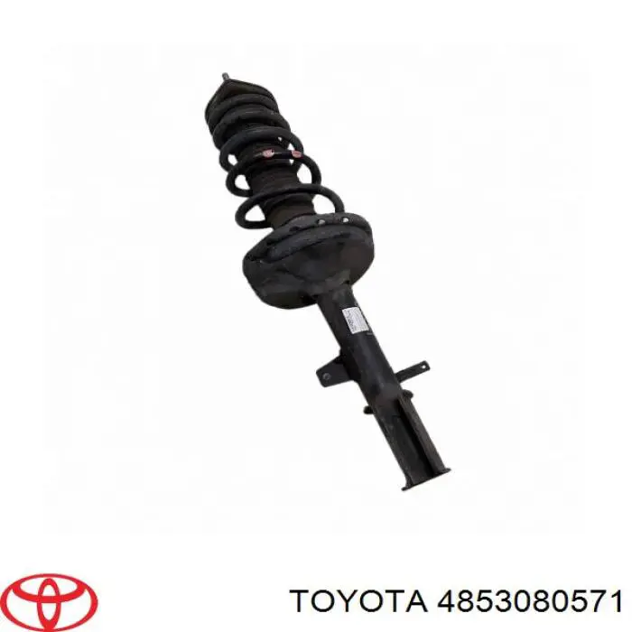 4853080571 Toyota Амортизатор задній, правий