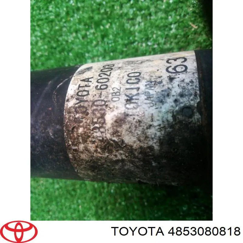 Купити 4853080818 Toyota Стійка амортизатора задня