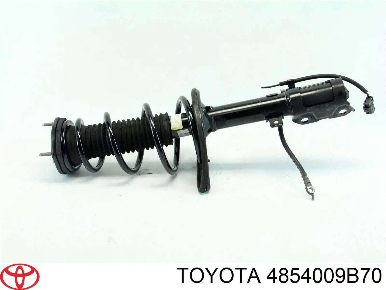 RS339291 Raiso Амортизатор задній, лівий