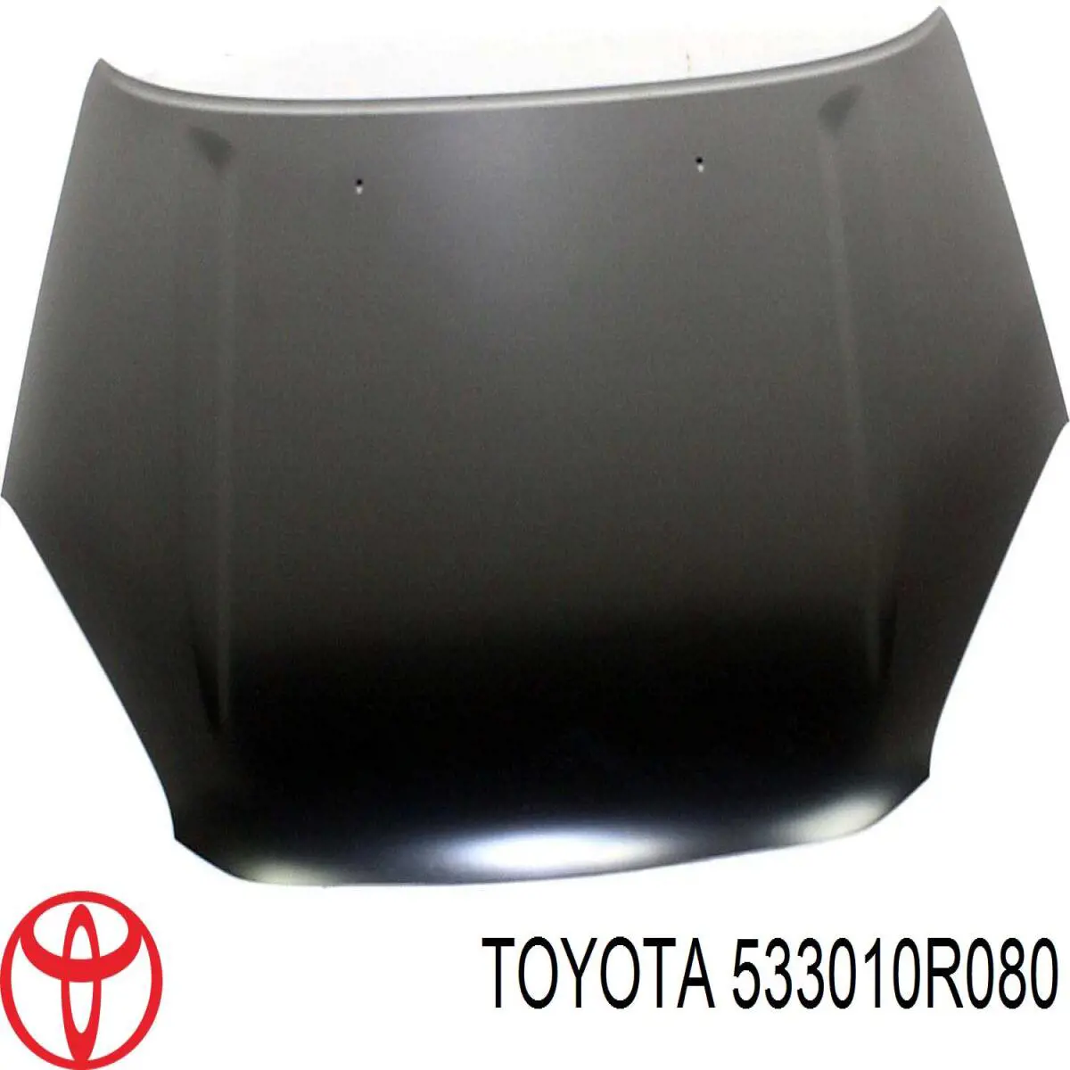Капот на Toyota Rav4 A5, H5