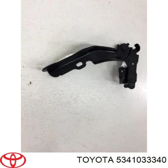 5341033340 Toyota Завіс капота, правий