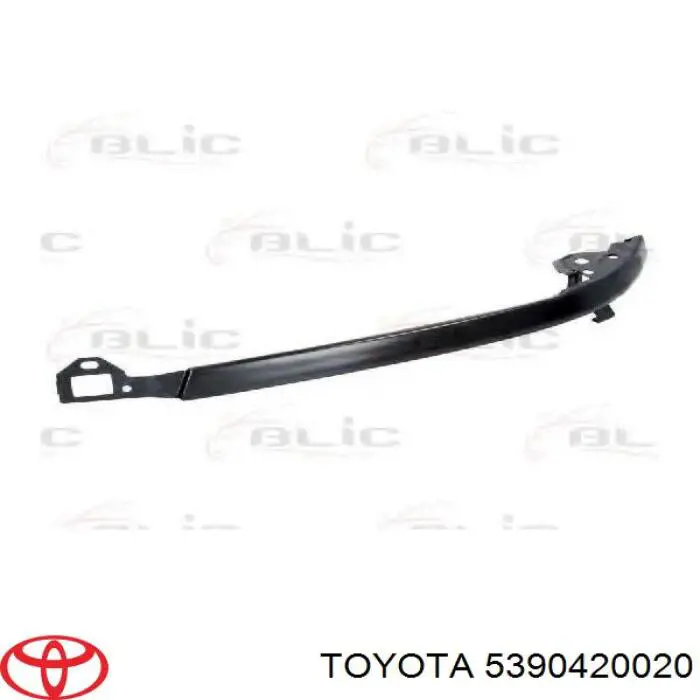 Купити 5390420020 Toyota Вія (накладка) лівої фари