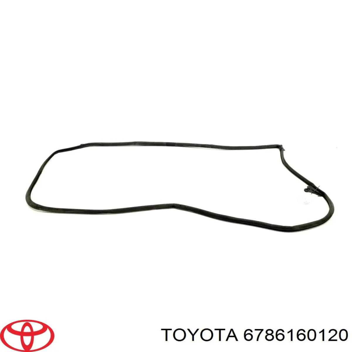 Купити 6786160120 Toyota Ущільнювач двері передньо, правої (на двері)