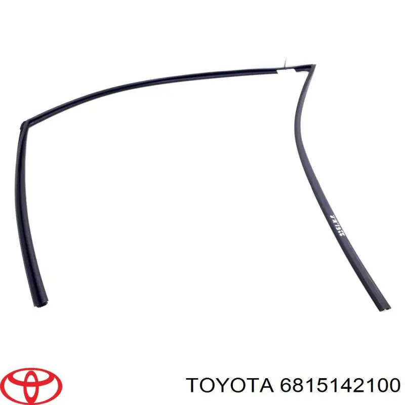 Направляюча скла рамки двері, переднього ліва Toyota RAV4 4 (A4) (Тойота Рав4)