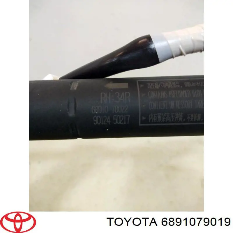Купити 6891079019 Toyota Амортизатор двері багажника