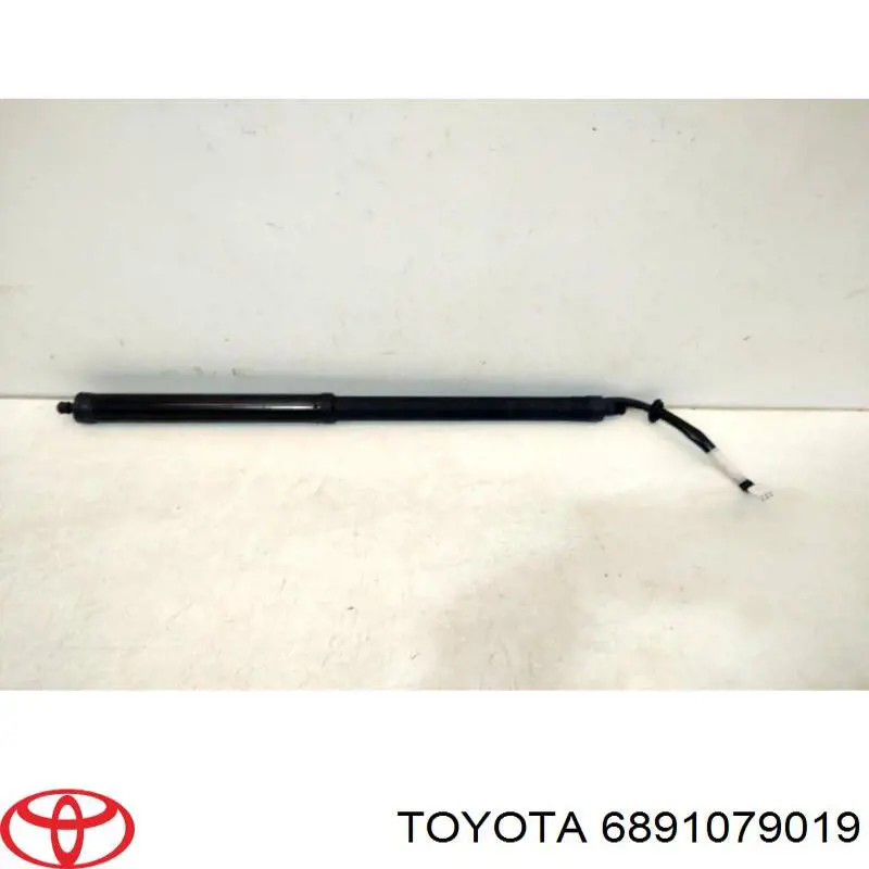 Амортизатор двері задньої Toyota 6891079019 ціна, від 81.32 USD