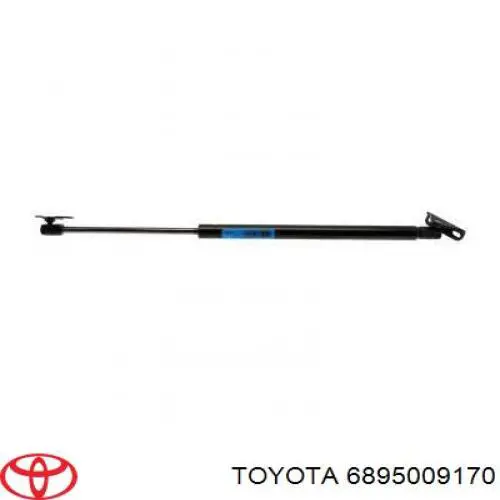 Амортизатор двері задньої Toyota 6895009170 ціна, від 24.07 USD