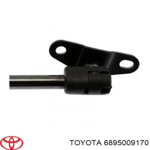 Купити 6895009170 Toyota Амортизатор двері багажника