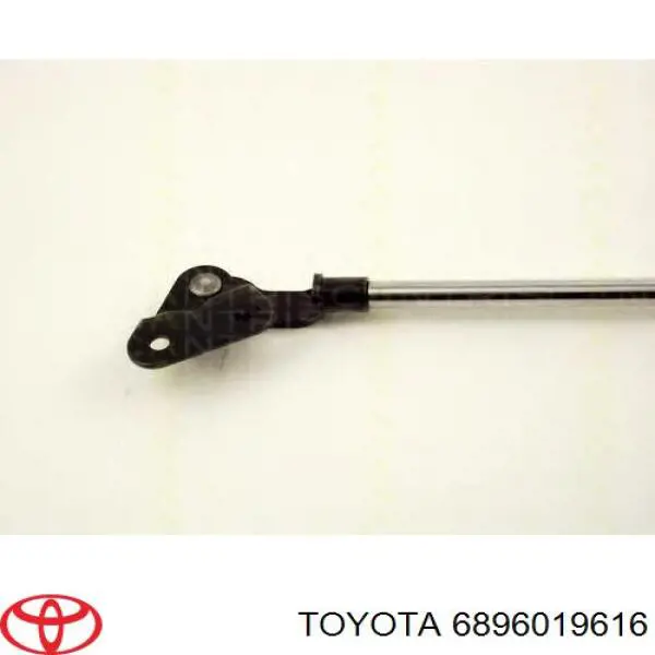 Купити 6896019616 Toyota Амортизатор двері багажника