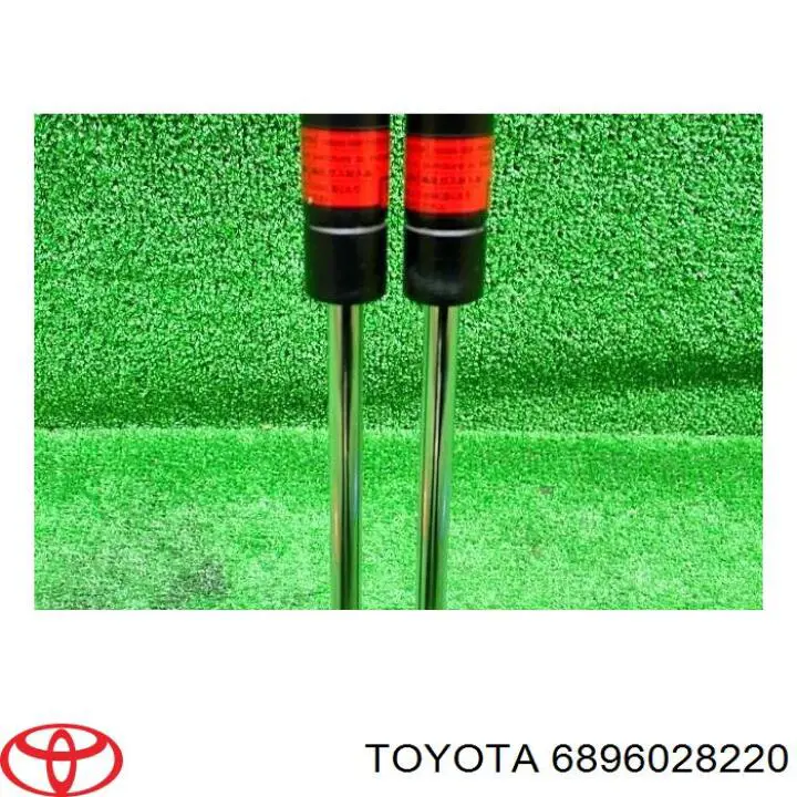 Купити Амортизатор багажника Toyota Previa  ACR3