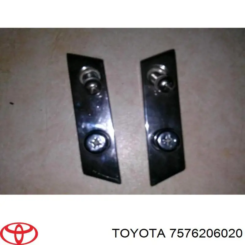 Купити 7576206020 Toyota Молдинг задніх лівих дверей, верхній