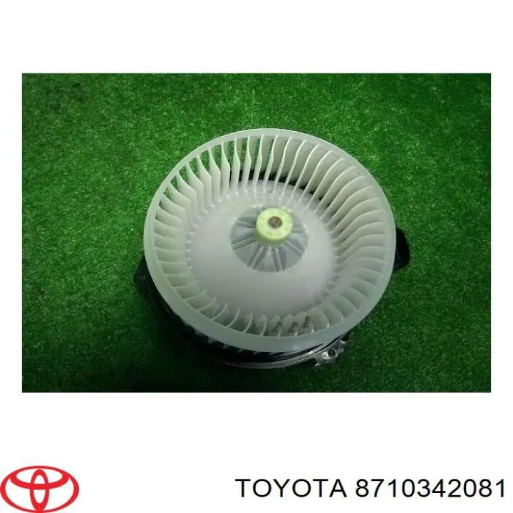 Купити 8710342081 Toyota Електродвигуни (електродвигун обігрівача) або розетка причепа штепсельная