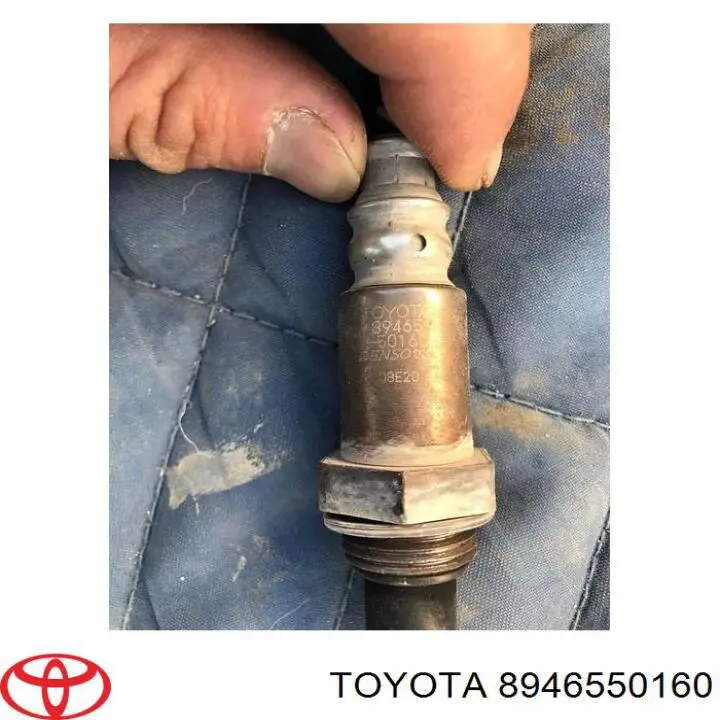8946550160 Toyota 
