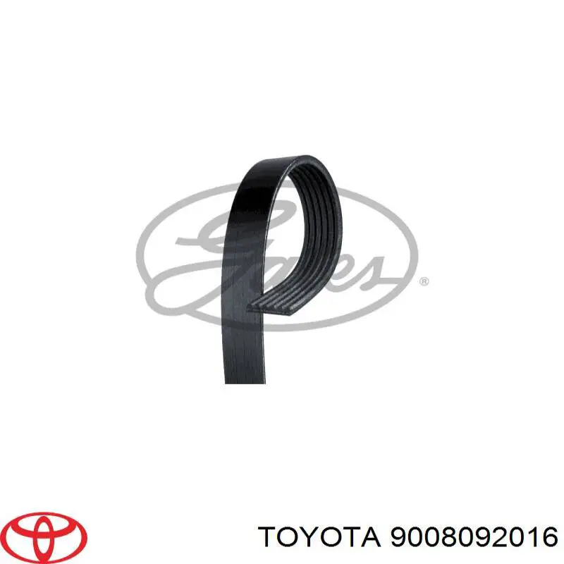9008092016 Toyota Поліклиновий ремінь