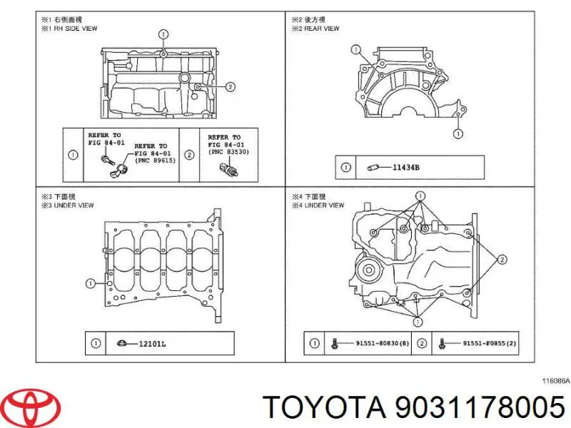 9031178005 Toyota Сальник коленвала корінний