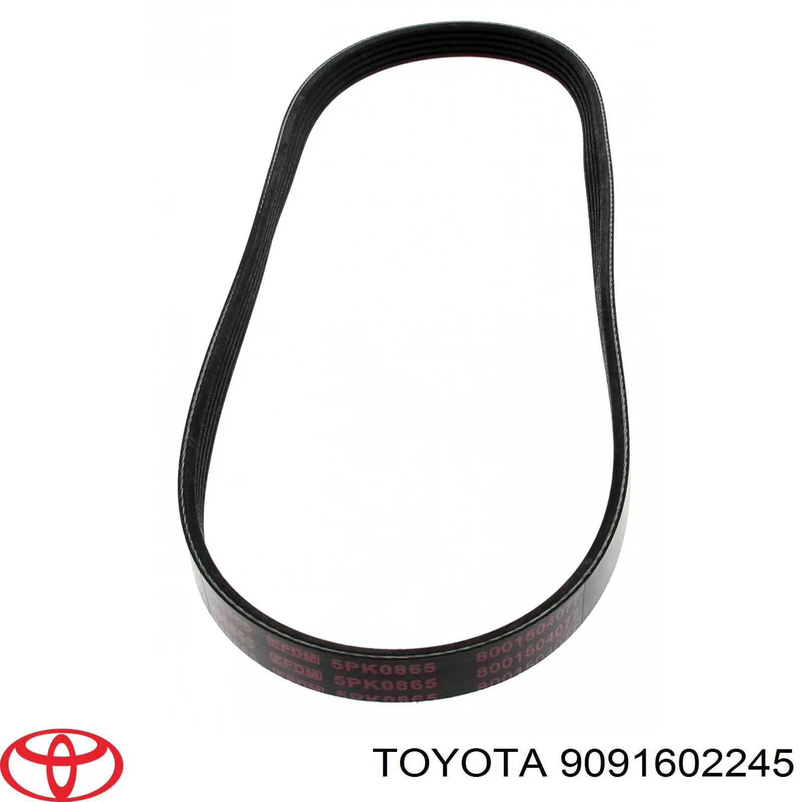 Ремінь приводний, агрегатів 9091602245 Toyota