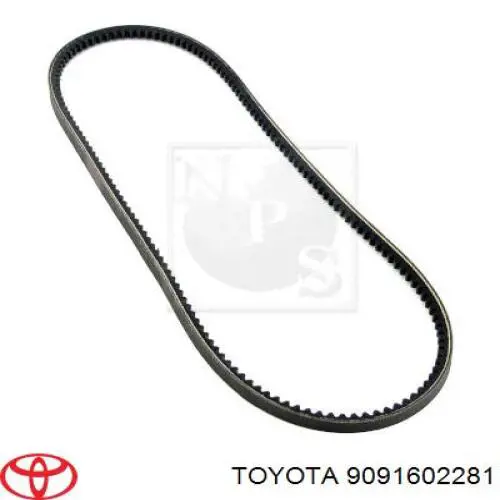 Купити 9091602281 Toyota Ремінь генератора