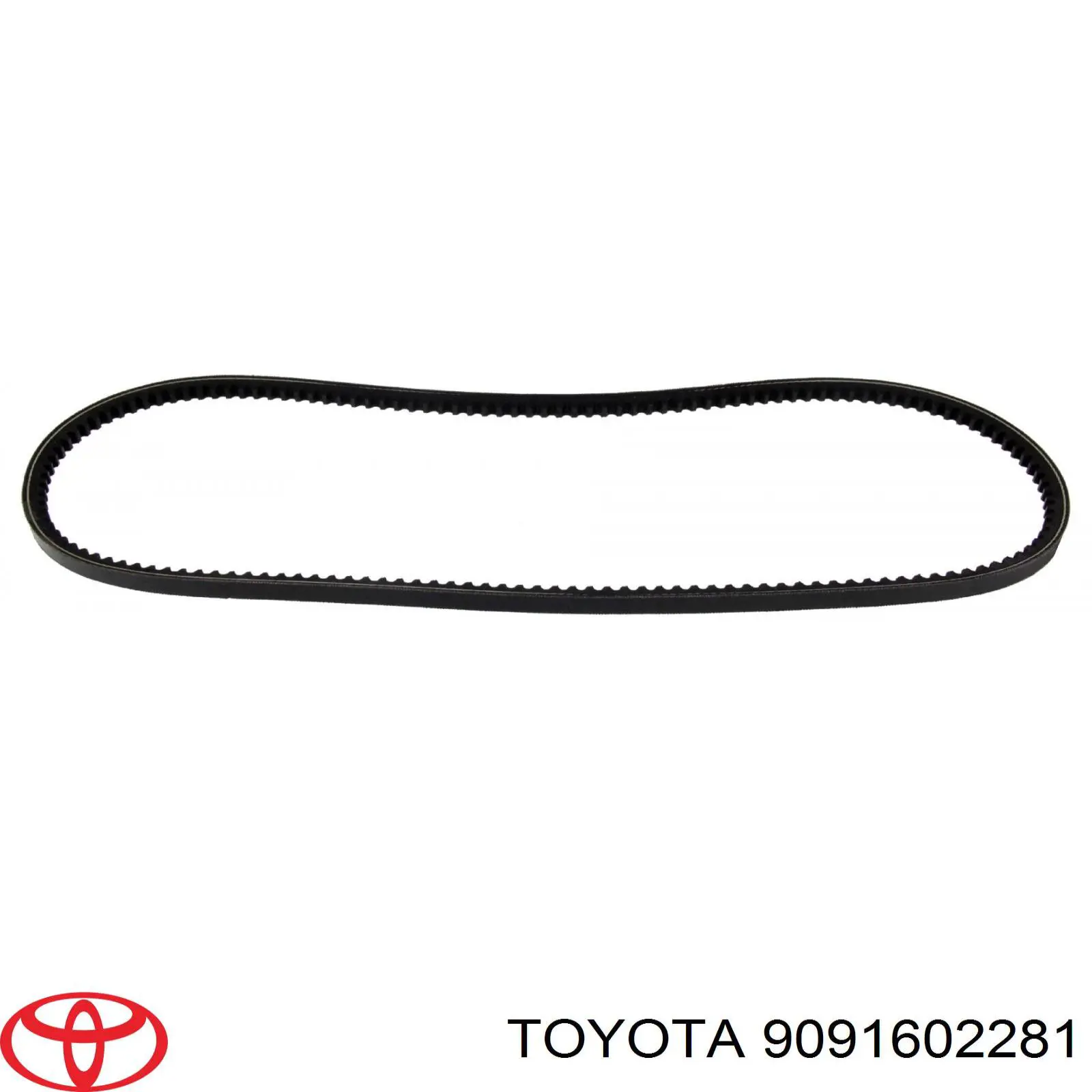 9091602281 Toyota Поліклиновий ремінь
