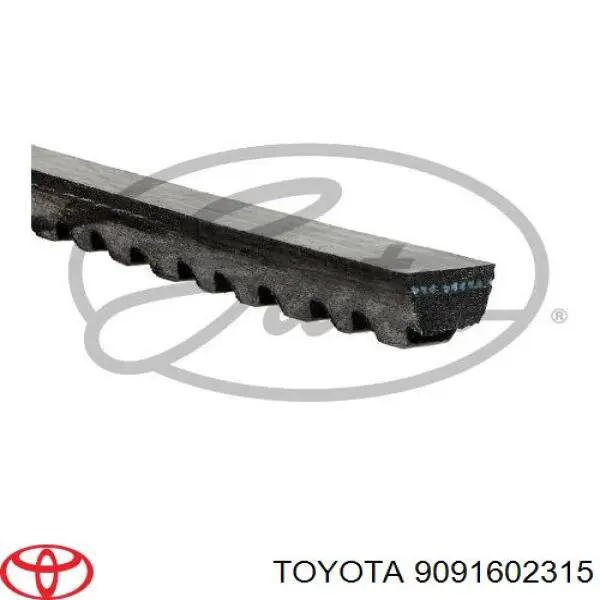 Ремінь генератора 9091602315 Toyota