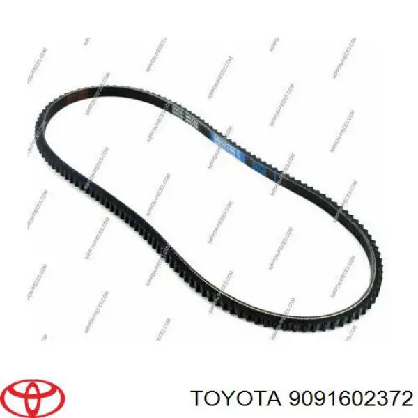 Клиновий ремінь Toyota 9091602372 ціна, від 3.99 USD