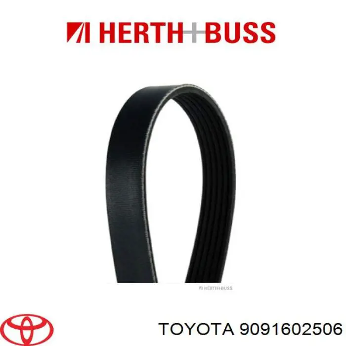 Ремінь генератора 9091602506 Toyota