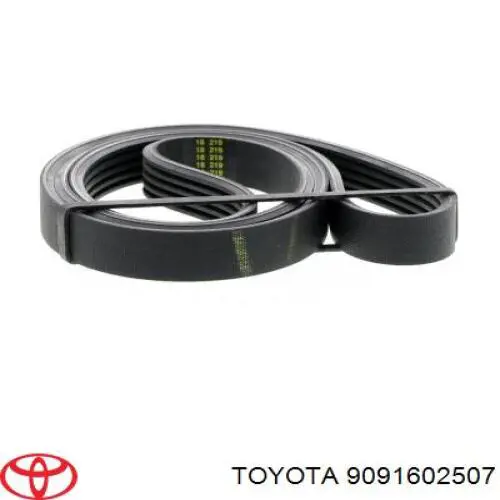 Клиновий ремінь Toyota 9091602507 ціна, від 11.39 USD