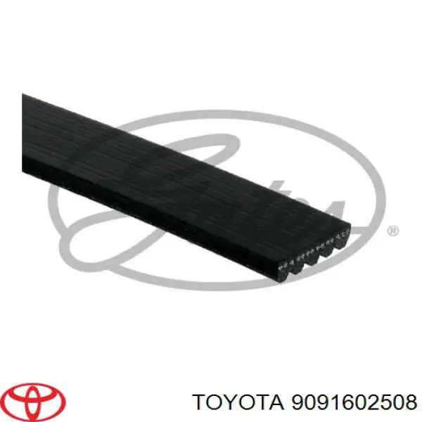 9091602508 Toyota Поліклиновий ремінь