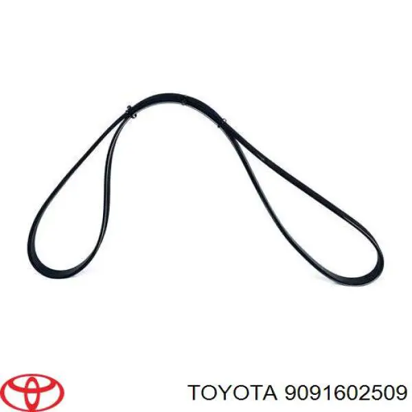 Клиновий ремінь Toyota 9091602509 ціна, від 8.16 USD