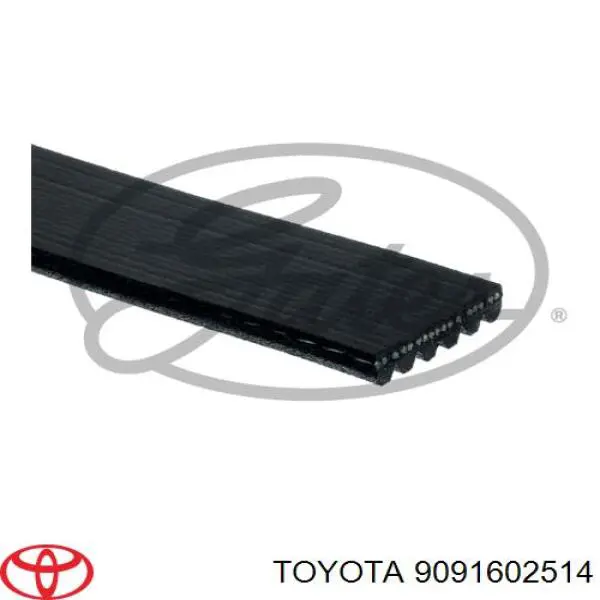 Ремінь приводний, агрегатів 9091602514 Toyota