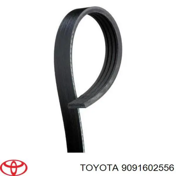 Ремінь генератора 9091602543 Toyota