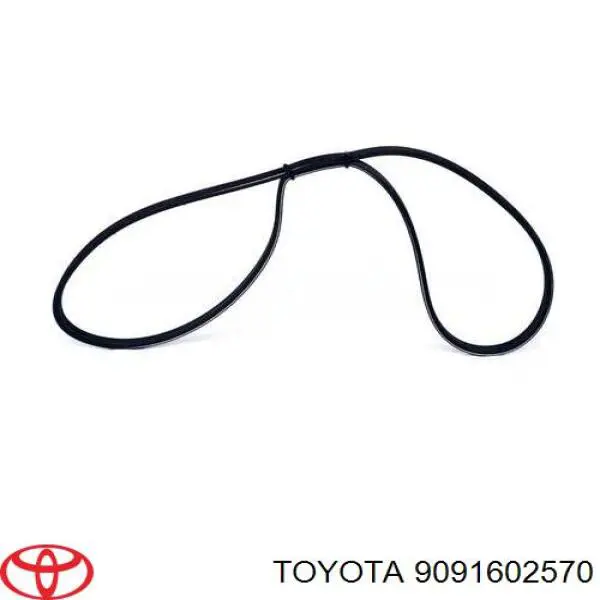Ремінь генератора 2812341920 Nissan/Infiniti