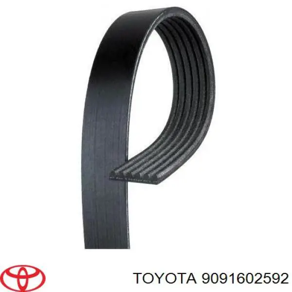 9091602592 Toyota Поліклиновий ремінь