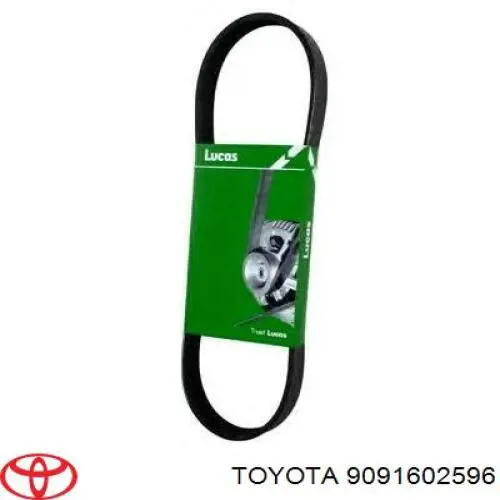 Клиновий ремінь Toyota 9091602596 ціна, від 15.92 USD