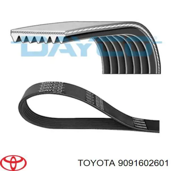 Клиновий ремінь Toyota 9091602601 ціна, від 17.95 USD