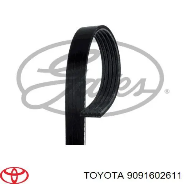 Ремінь приводний, агрегатів 9091602611 Toyota