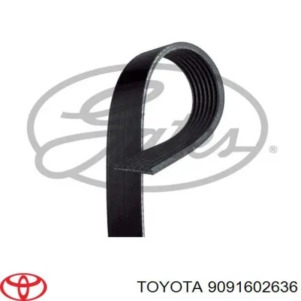 Ремінь приводний, агрегатів 9091602636 Toyota