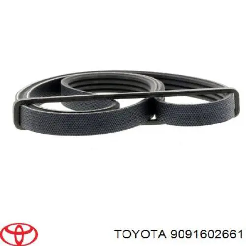 Ремінь генератора 9091602661 Toyota