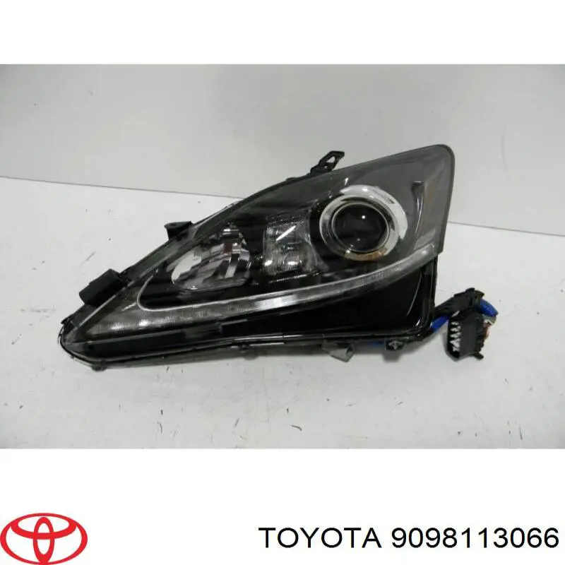 9098113066 Toyota лампочка галогенна