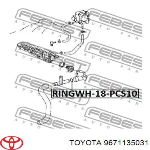 Ущільнююче кільце системи охолодження Toyota Camry (V30) (Тойота Камрі)