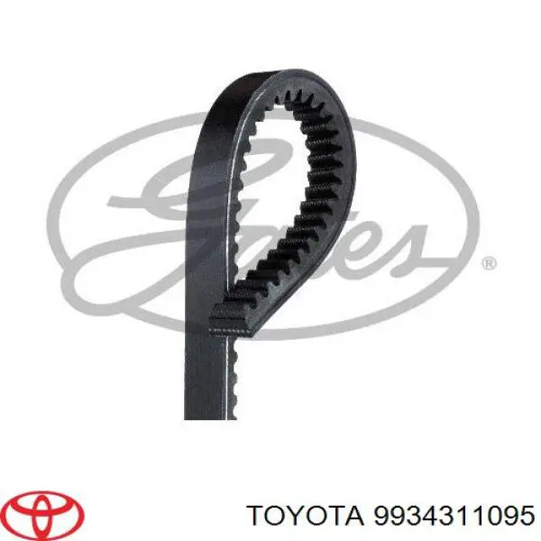 9934311095 Toyota Поліклиновий ремінь