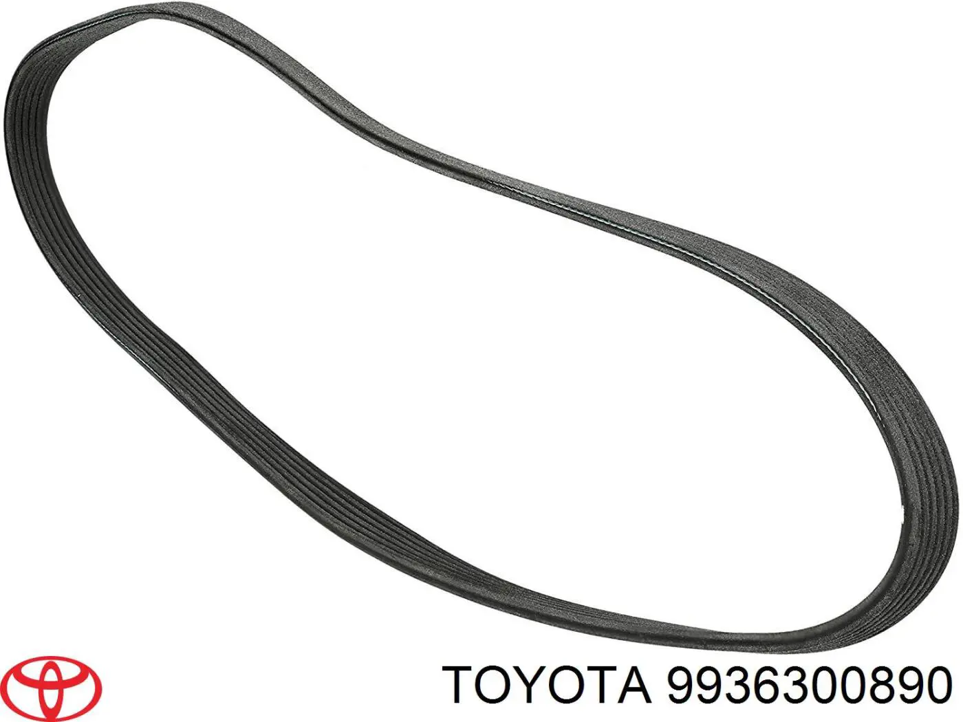Клиновий ремінь Fiat/Alfa/Lancia 55211240 ціна, від 6.17 USD