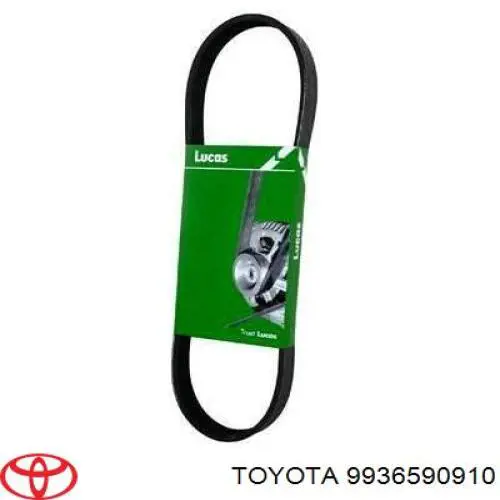 Купити 5PK910 Mitsubishi Ремінь генератора